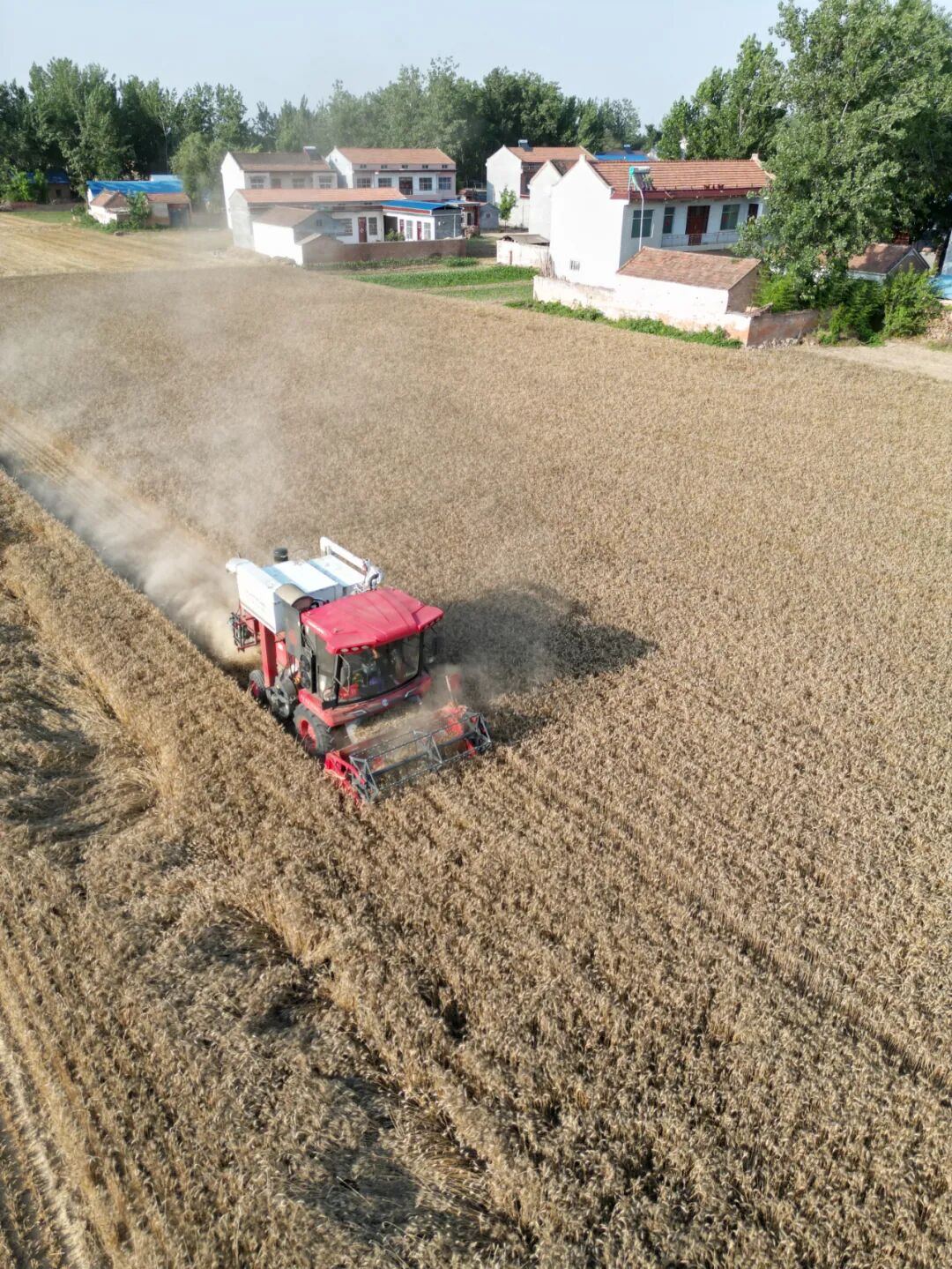 30年只做一件事:為什么越來越多農(nóng)機手認準(zhǔn)「中聯(lián)收獲」?(圖6)